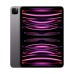 iPad Pro 11-inch M4 1TB WiFi+Cellular